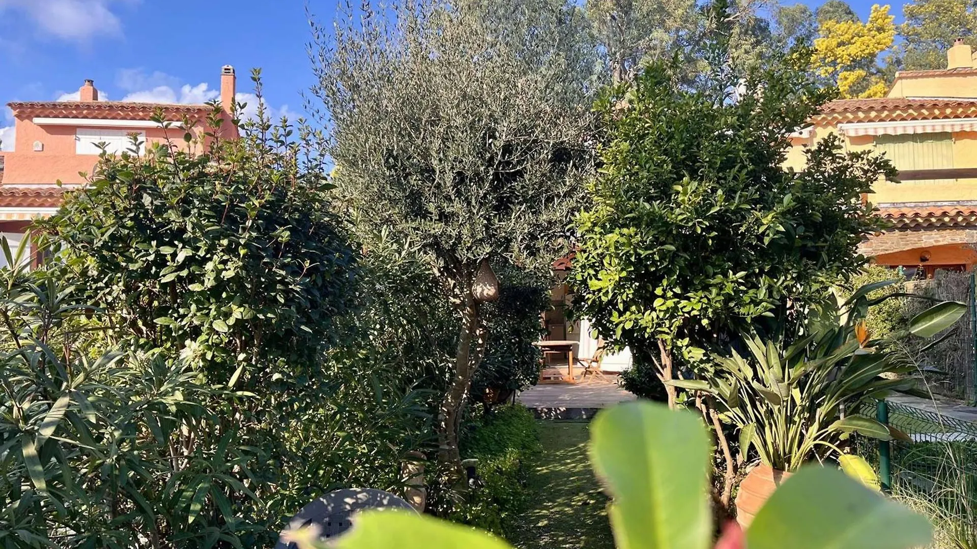 Appartement 2 Pieces Avec Jardinet A Cavalaire-Sur-Mer - Fr-1-226B-230 شقة